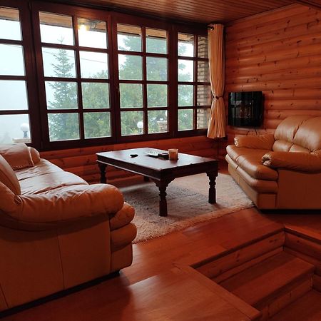 "Nest" The Wooden Suite By Ski Alure Eptálofos Exterior photo